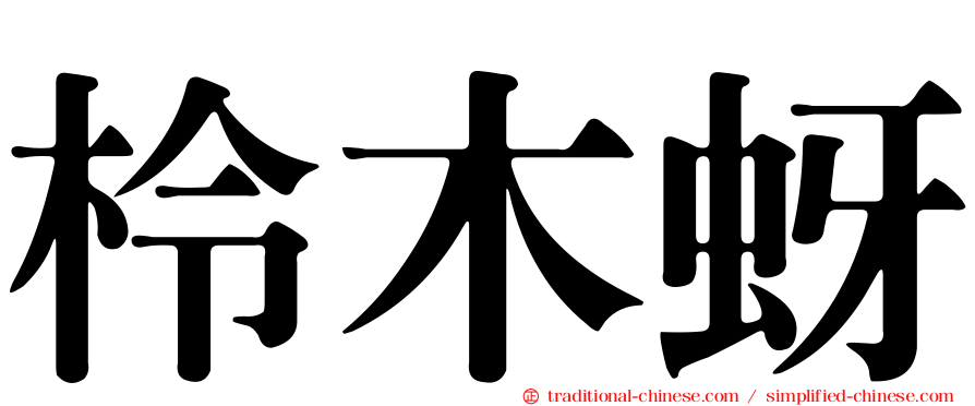 柃木蚜