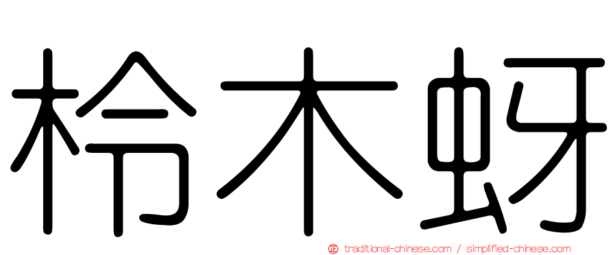 柃木蚜