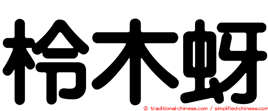 柃木蚜