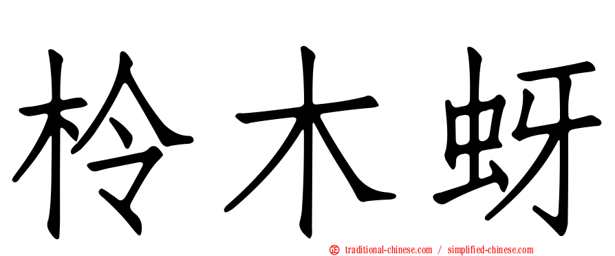柃木蚜