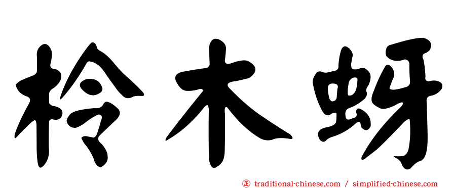 柃木蚜