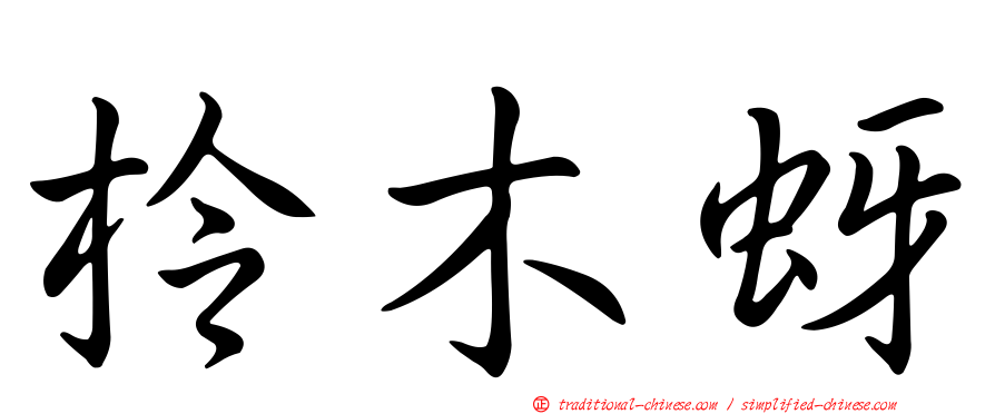 柃木蚜