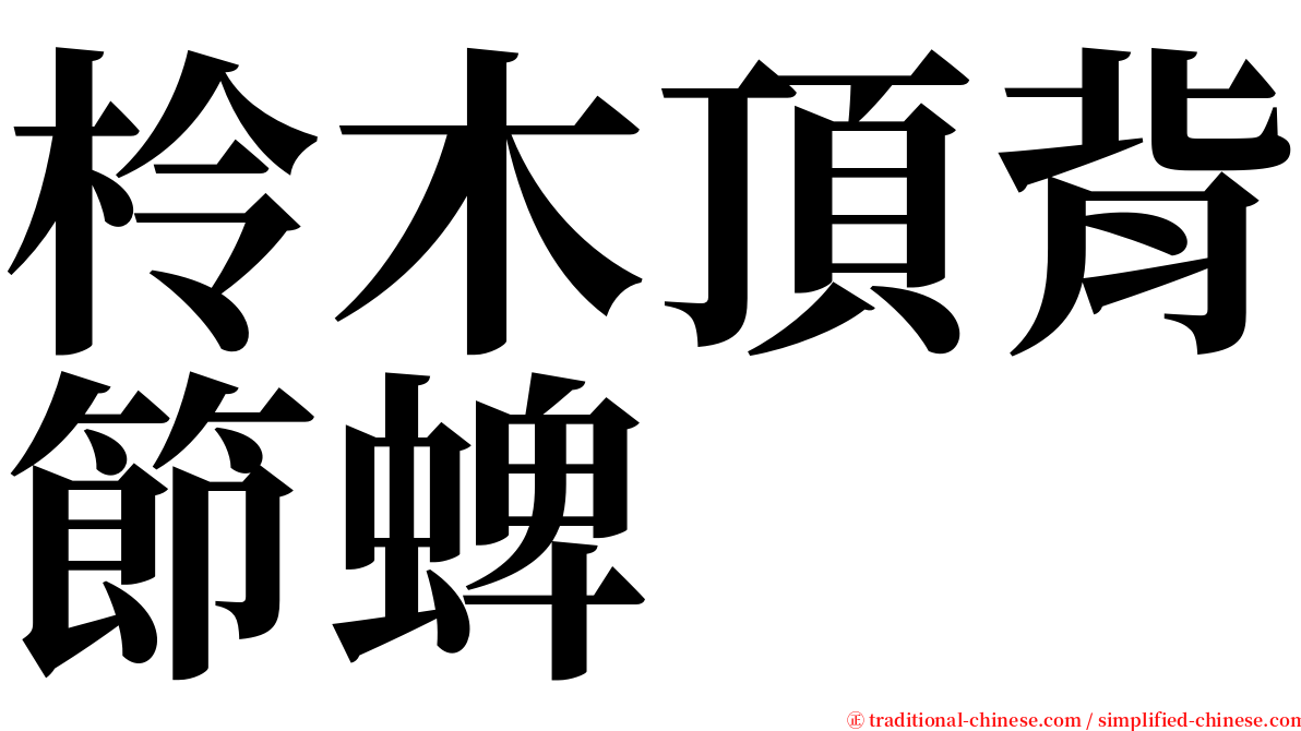 柃木頂背節蜱 serif font