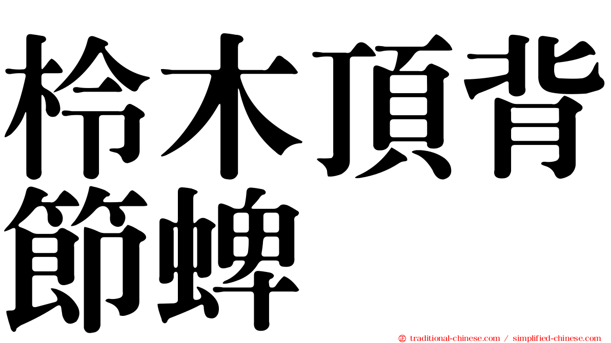 柃木頂背節蜱