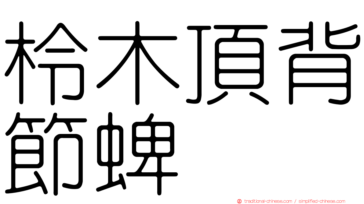 柃木頂背節蜱