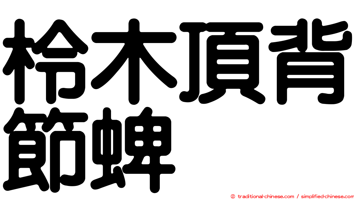 柃木頂背節蜱