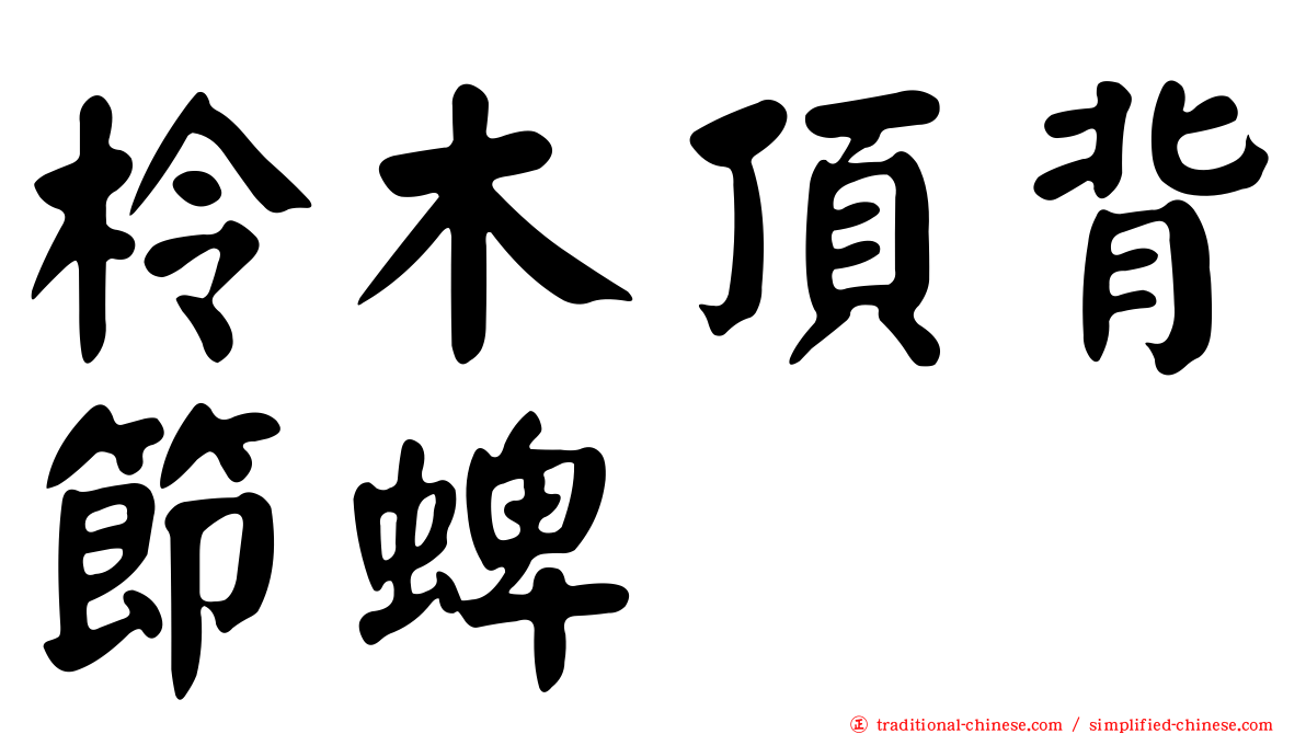 柃木頂背節蜱