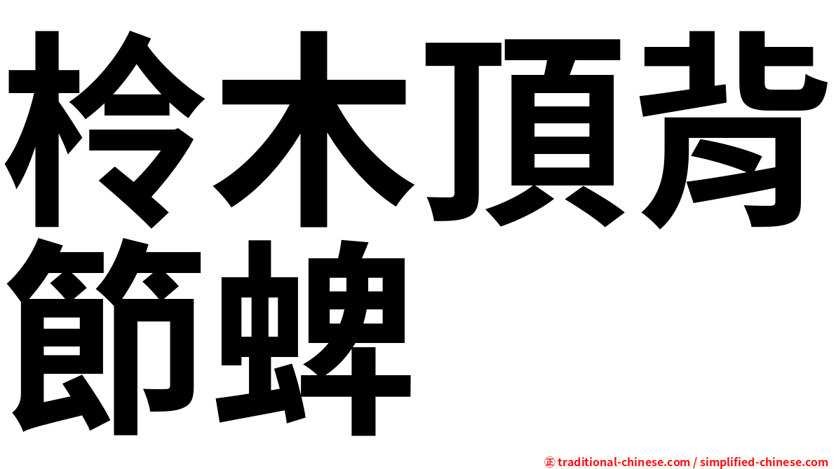 柃木頂背節蜱