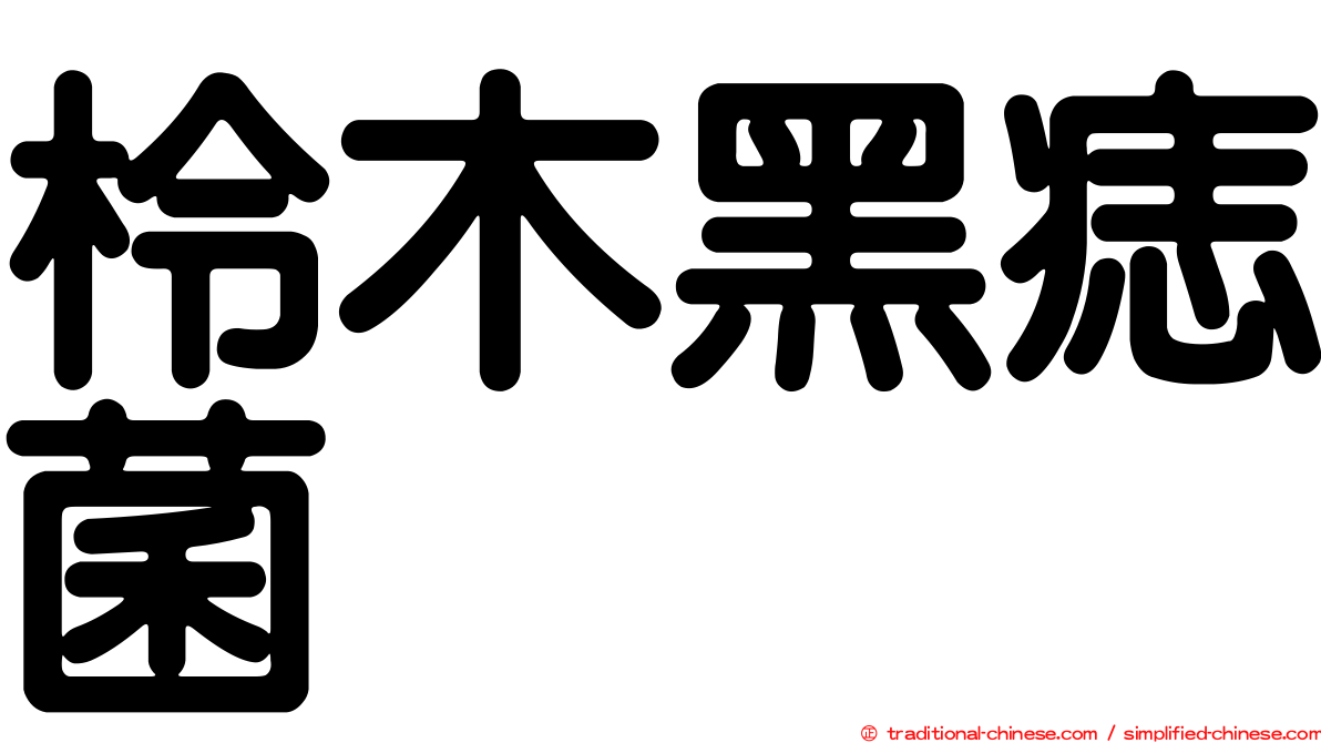 柃木黑痣菌