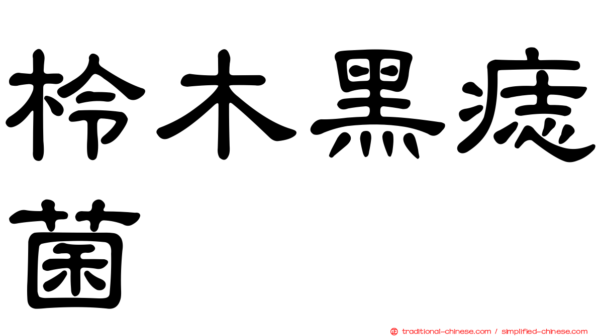 柃木黑痣菌