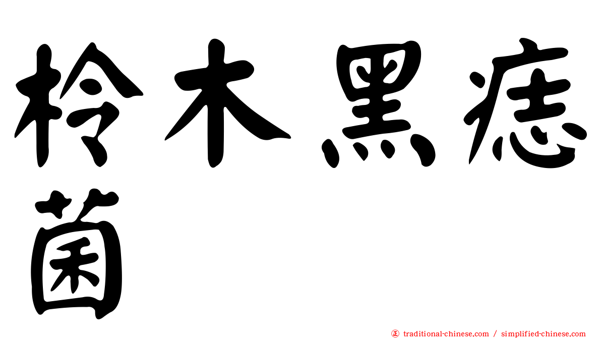 柃木黑痣菌