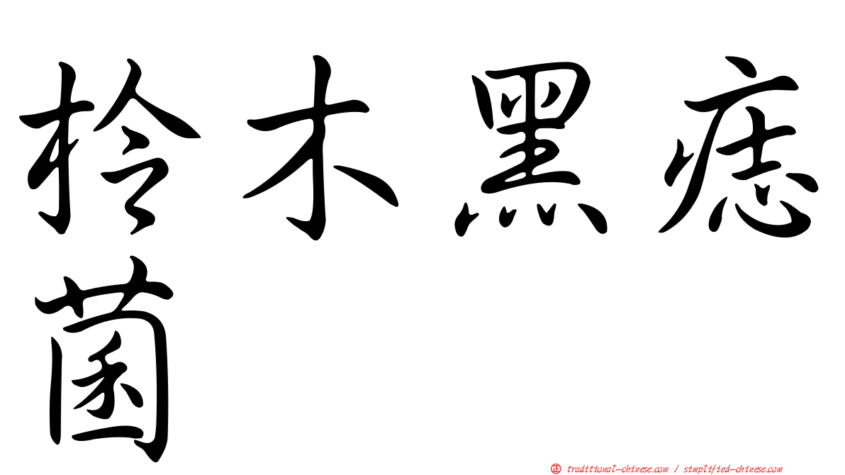柃木黑痣菌