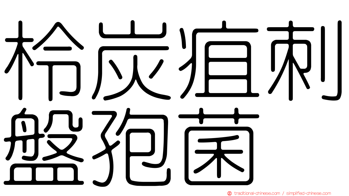 柃炭疽刺盤孢菌