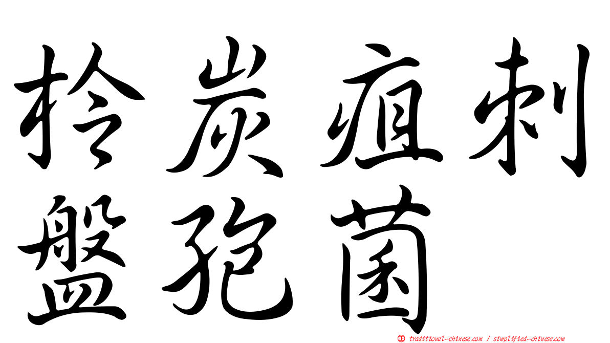 柃炭疽刺盤孢菌