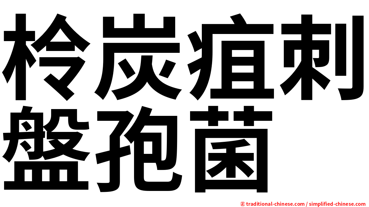 柃炭疽刺盤孢菌