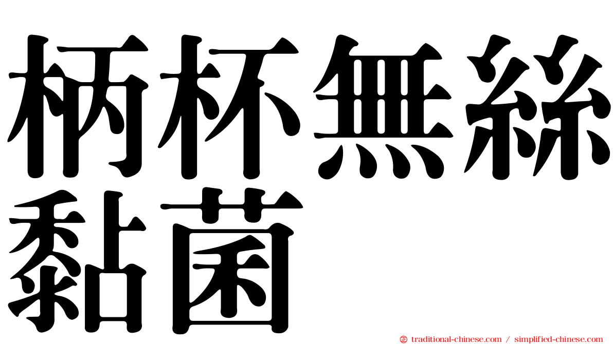 柄杯無絲黏菌