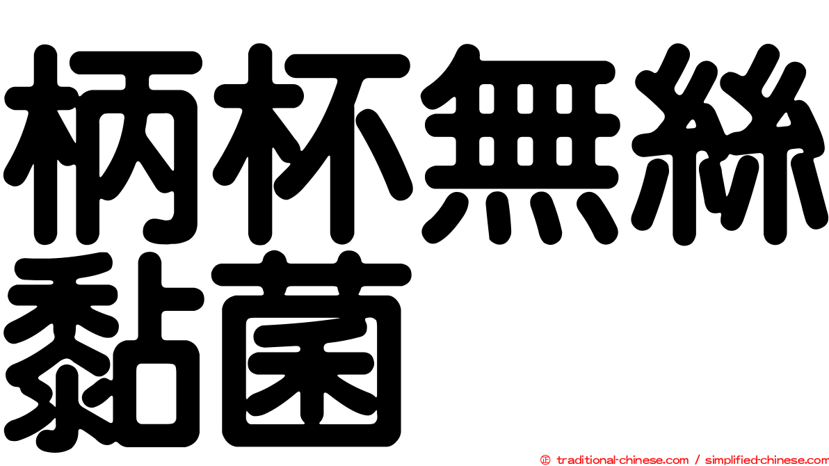 柄杯無絲黏菌