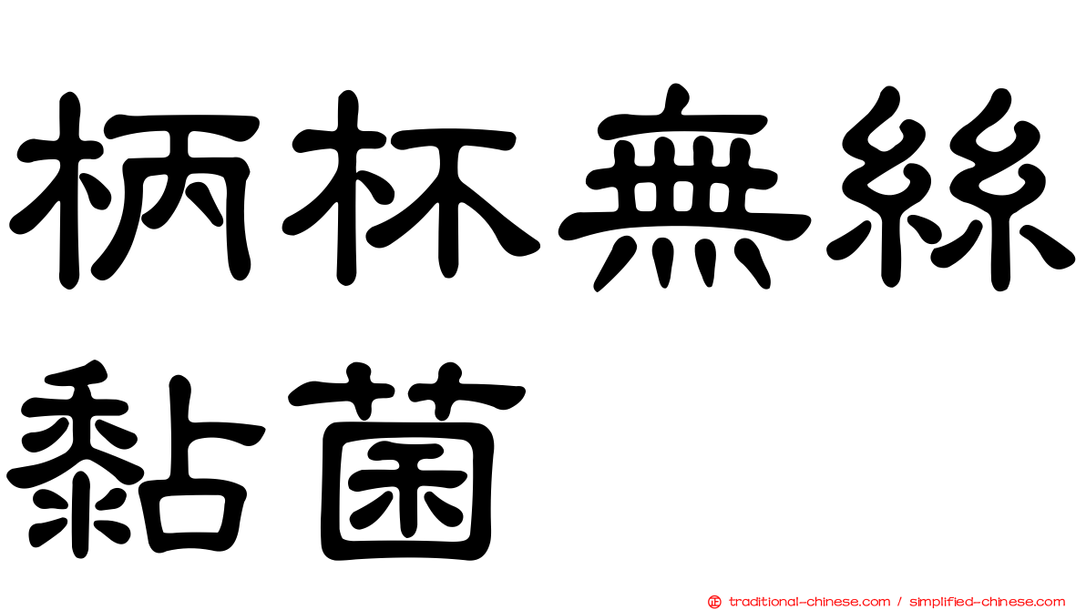 柄杯無絲黏菌