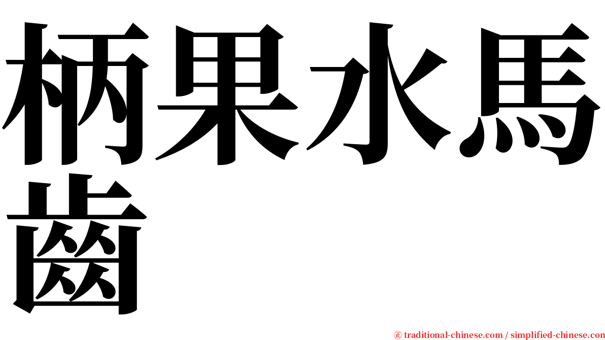 柄果水馬齒 serif font