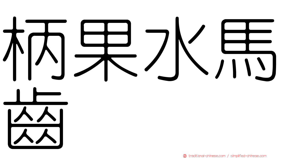 柄果水馬齒