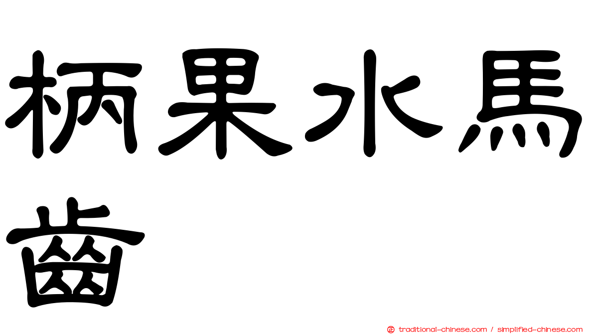 柄果水馬齒