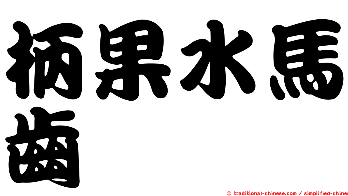 柄果水馬齒