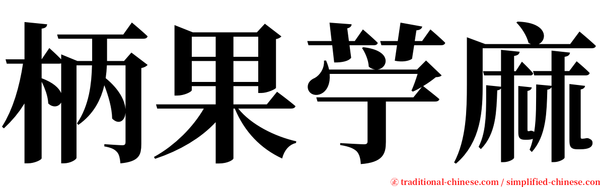 柄果苧麻 serif font