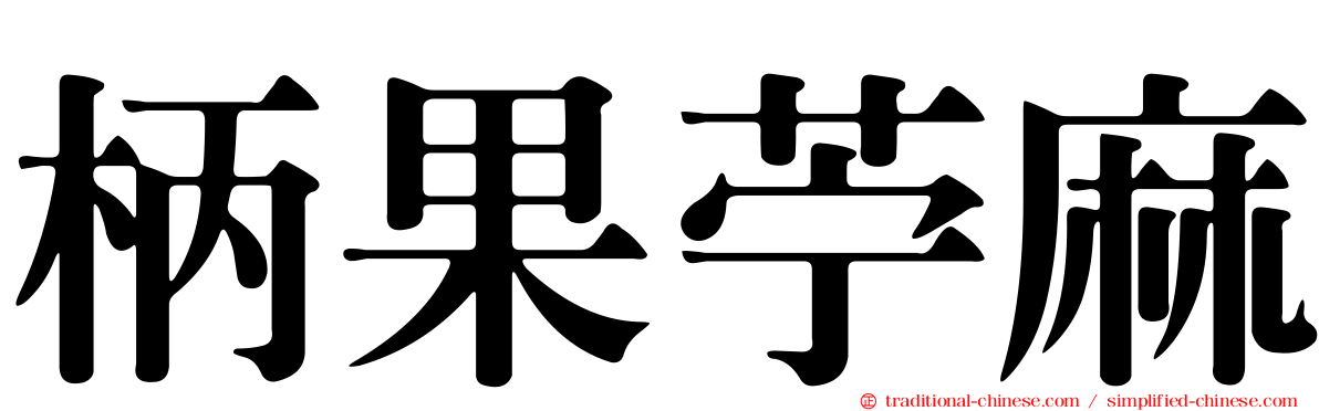 柄果苧麻