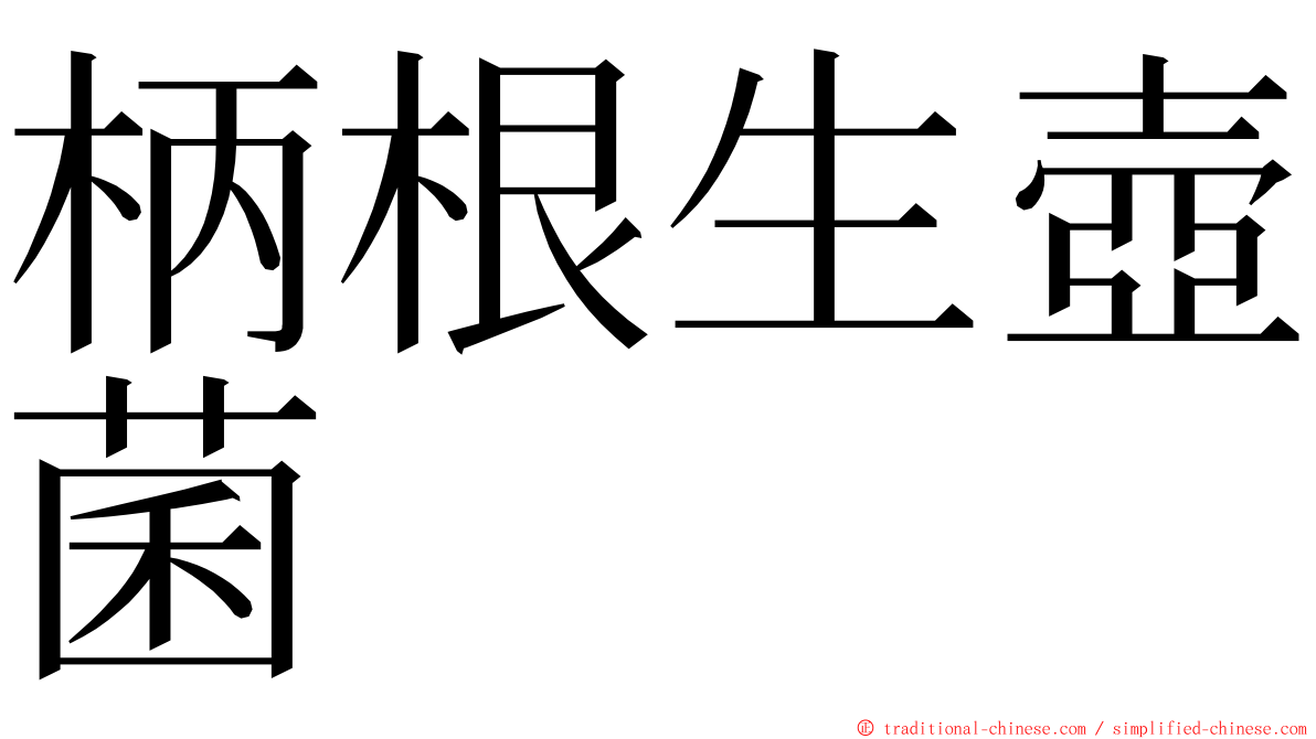 柄根生壺菌 ming font