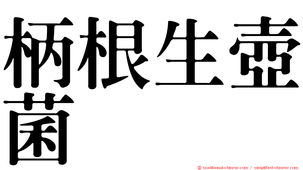 柄根生壺菌