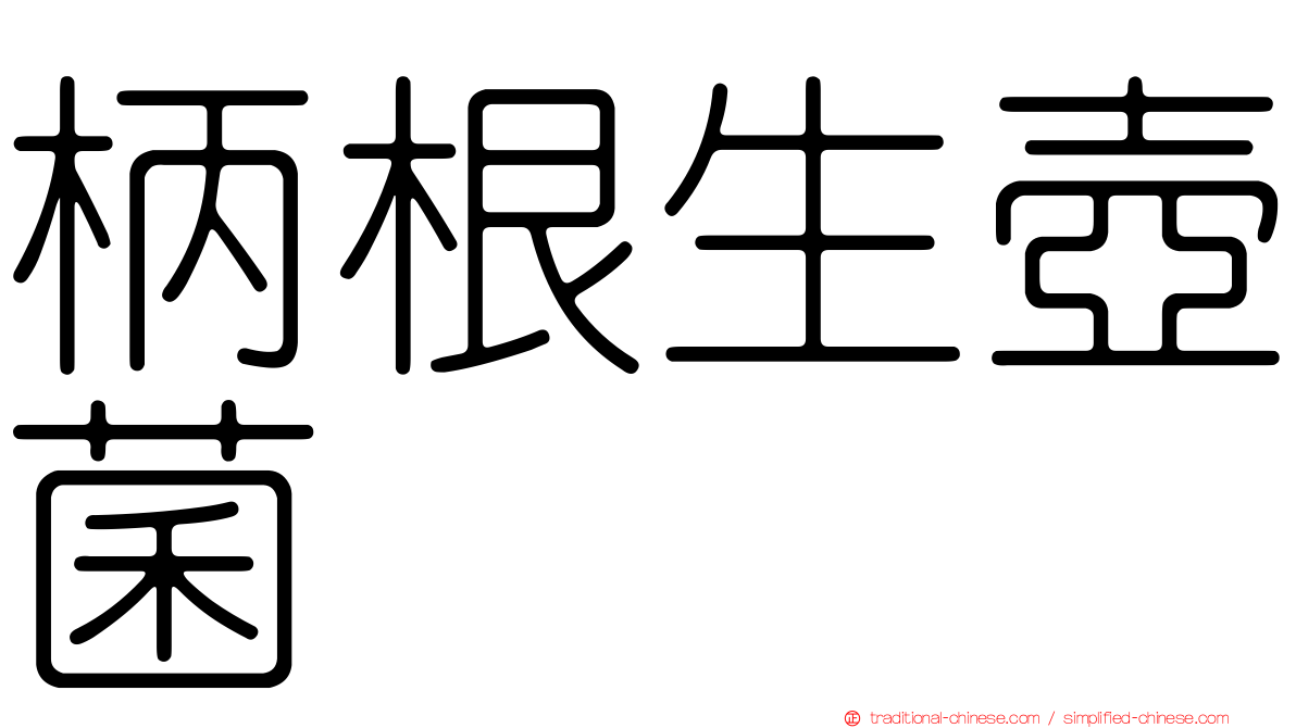 柄根生壺菌