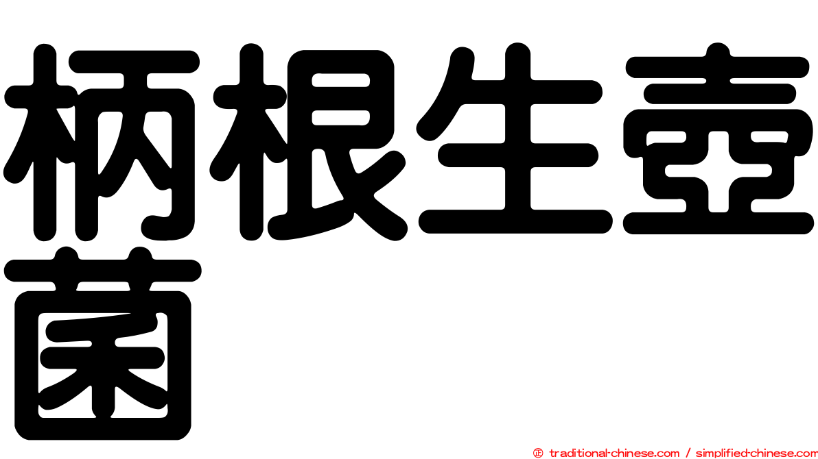 柄根生壺菌