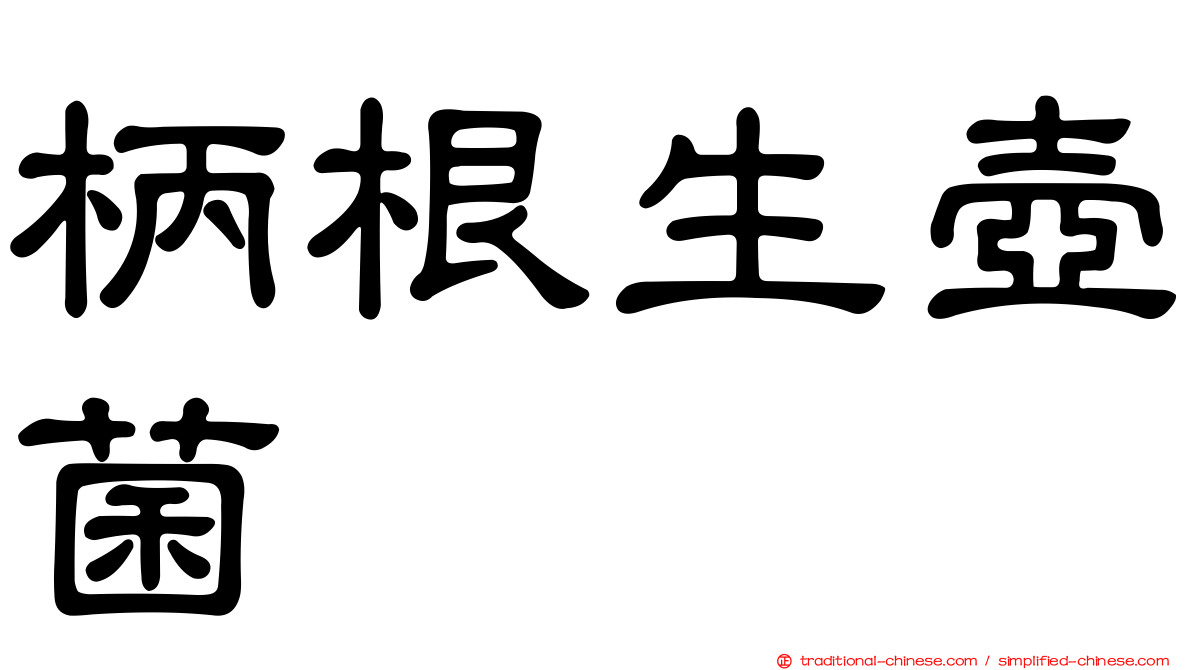 柄根生壺菌