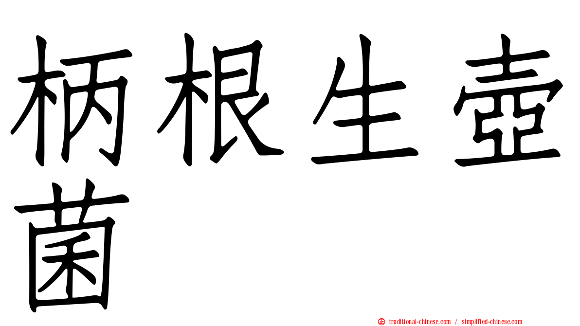 柄根生壺菌