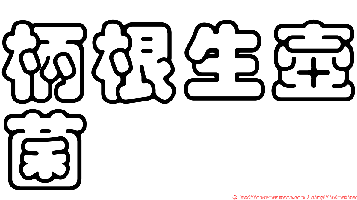 柄根生壺菌