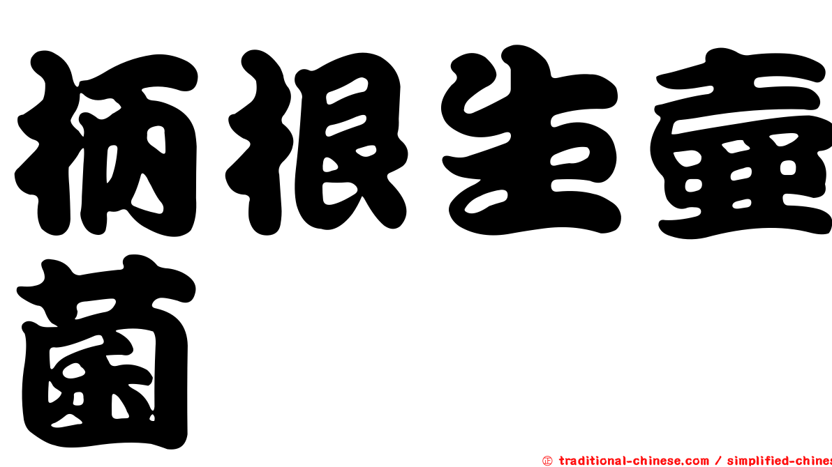 柄根生壺菌