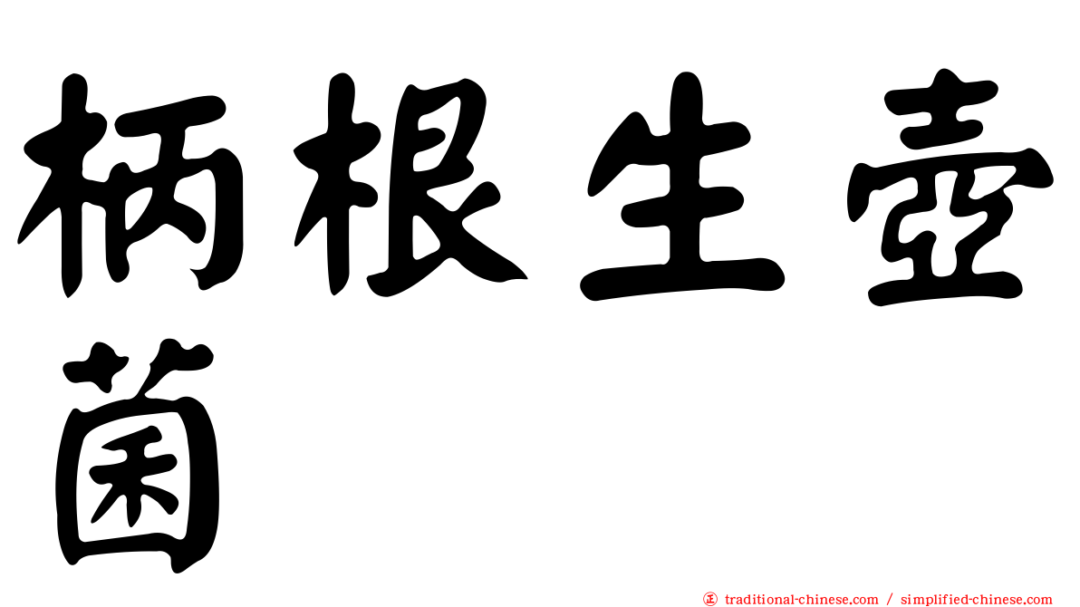 柄根生壺菌