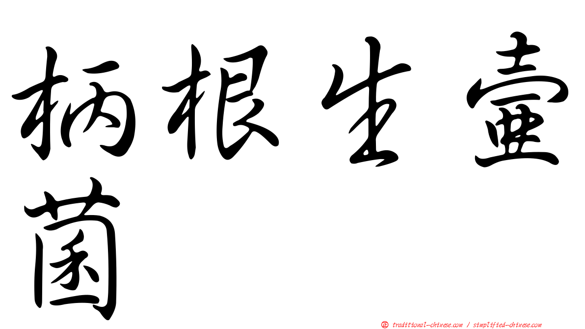 柄根生壺菌