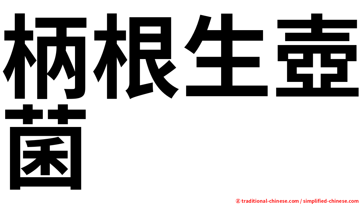 柄根生壺菌