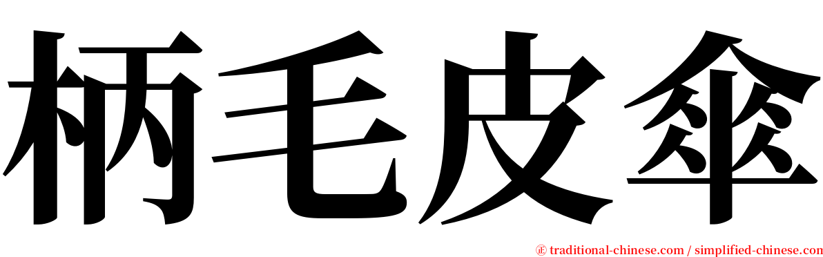 柄毛皮傘 serif font
