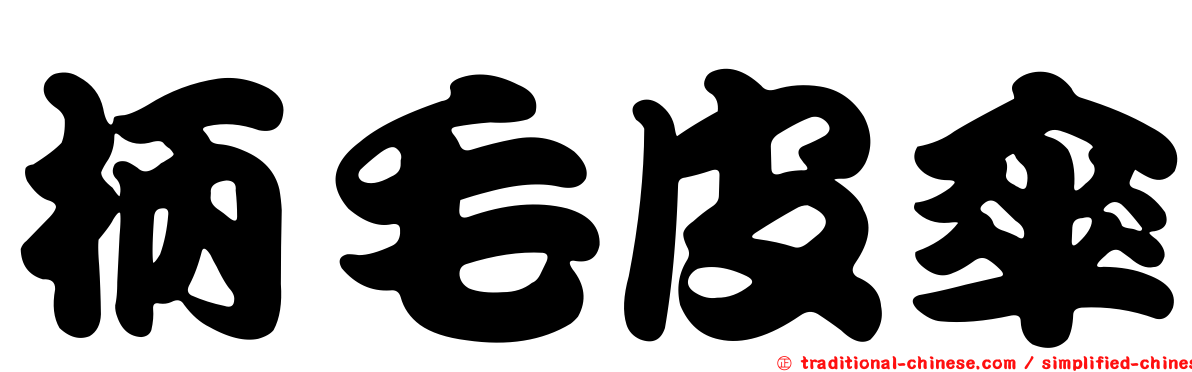 柄毛皮傘
