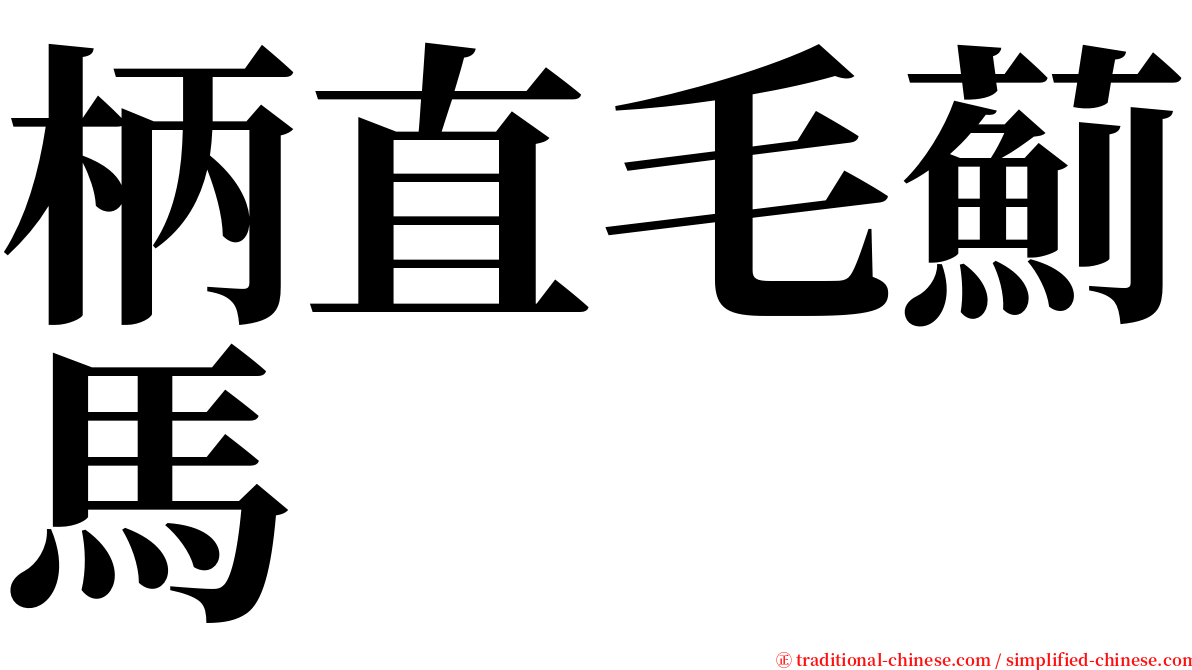 柄直毛薊馬 serif font