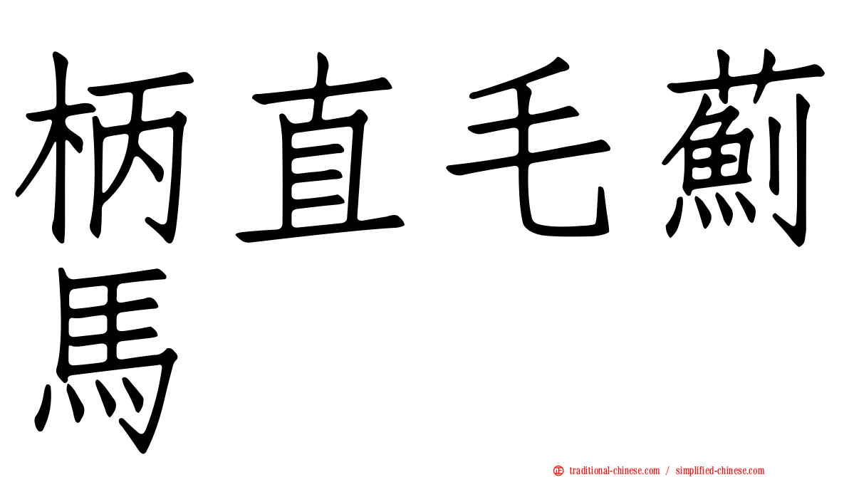 柄直毛薊馬