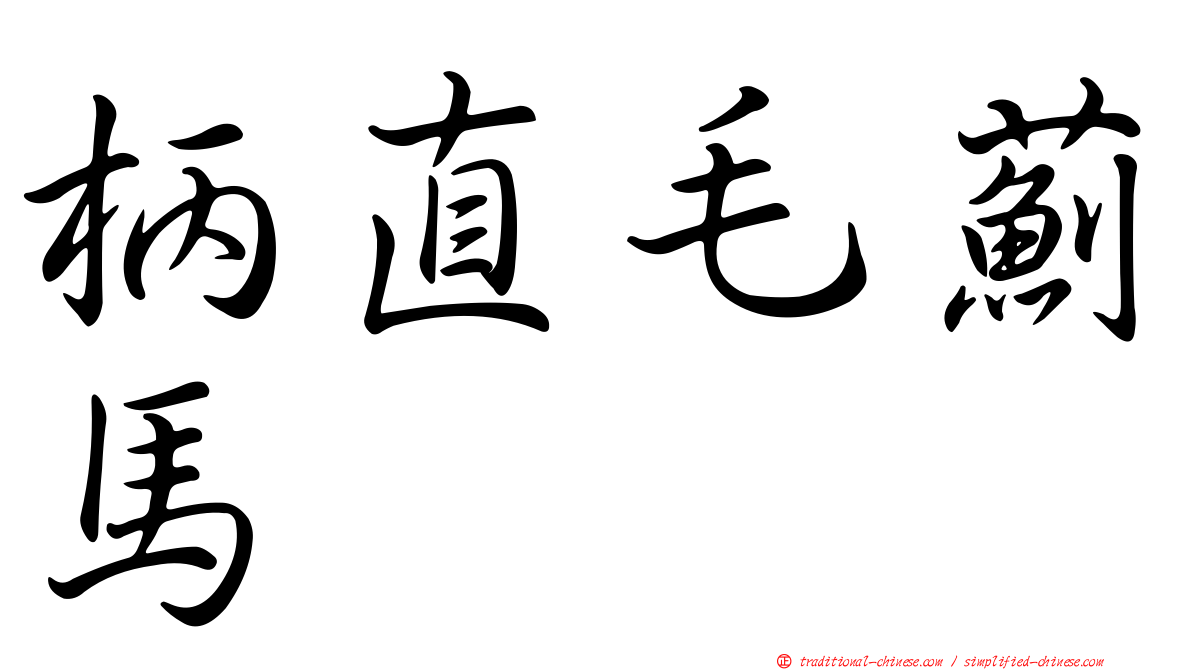 柄直毛薊馬
