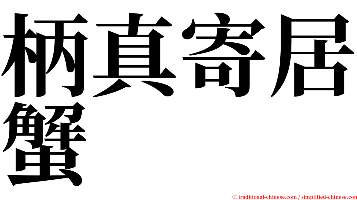 柄真寄居蟹 serif font