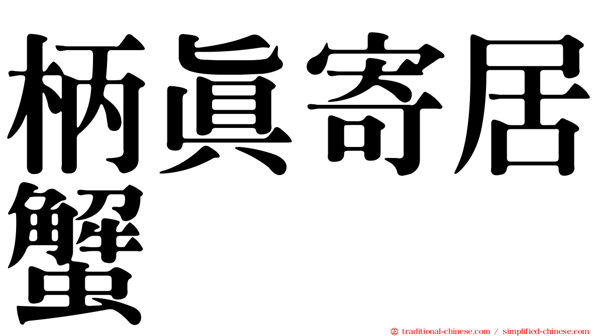 柄真寄居蟹