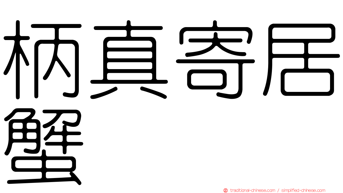 柄真寄居蟹