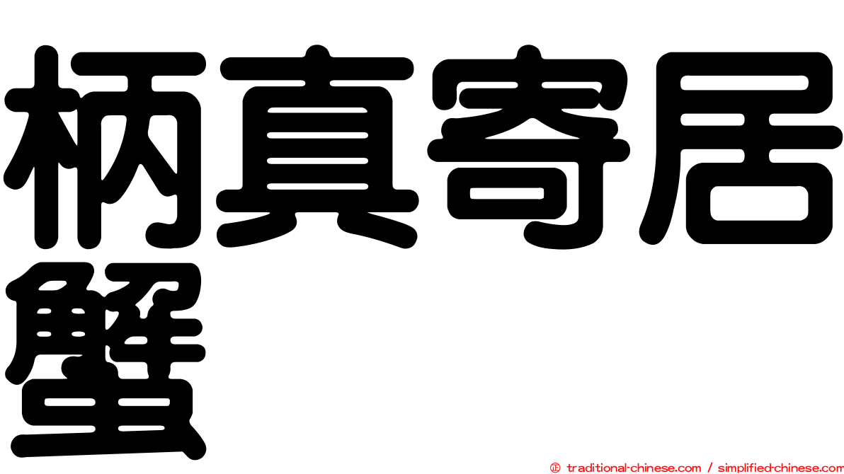 柄真寄居蟹