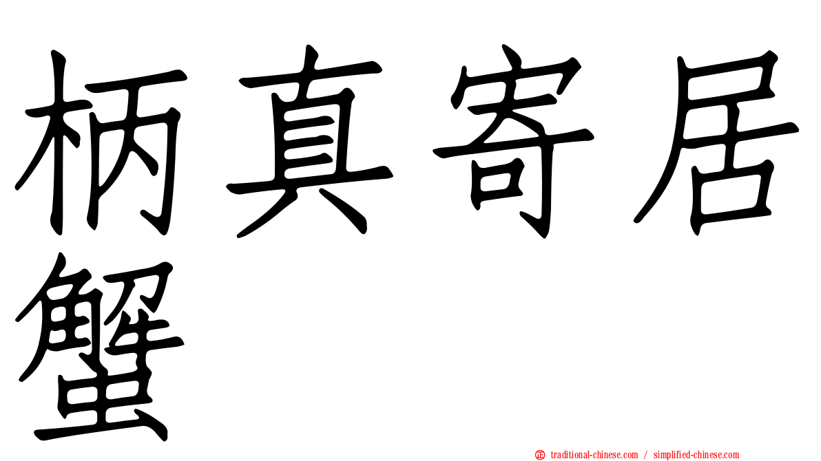 柄真寄居蟹