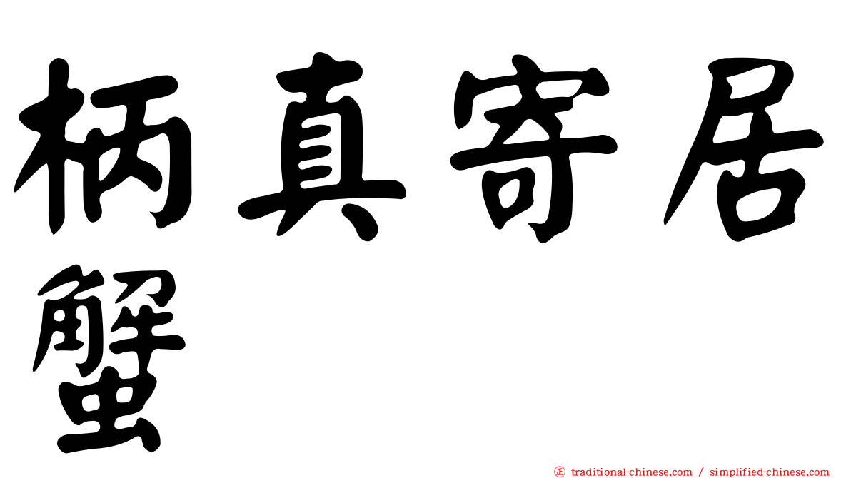 柄真寄居蟹